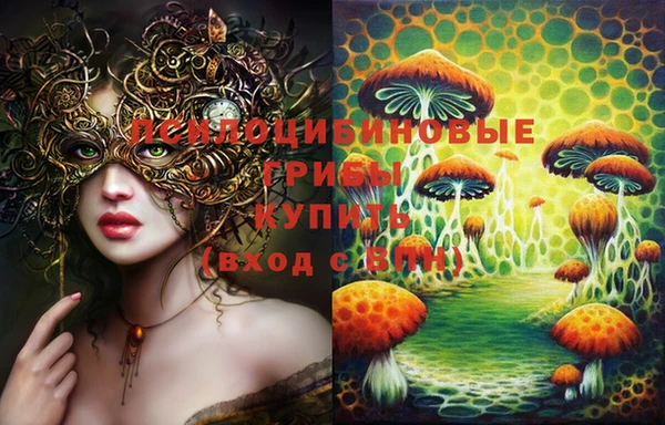 хмурый Бронницы