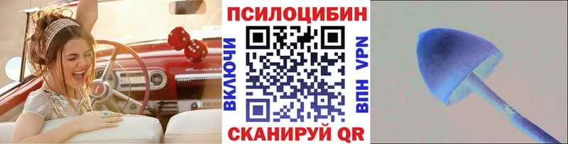 Псилоцибиновые грибы Magic Shrooms  Михайловск 