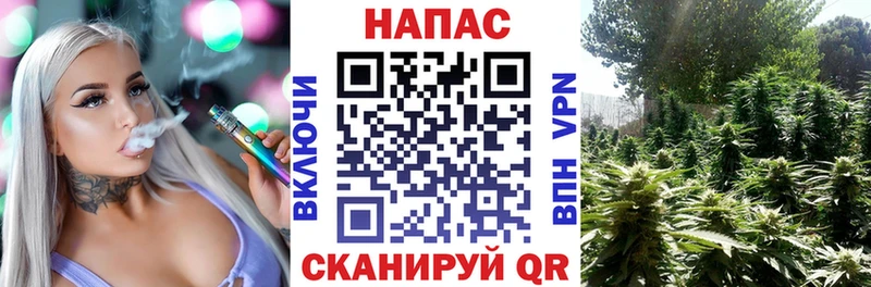 ОМГ ОМГ онион  Михайловск  Канабис THC 21%  закладка 